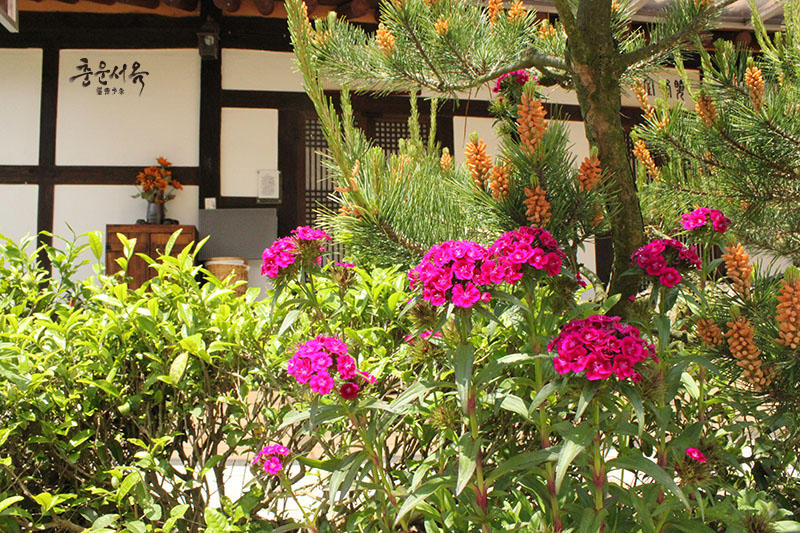 Gardens, CW Hanok, Boseong