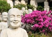 Overnight at a Buddhist monastery