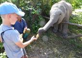 MandaLao Elephant Sanctuary