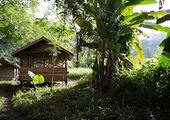 Nam Nern Night Safari