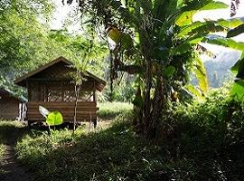 Nam Nern Night Safari, Laos