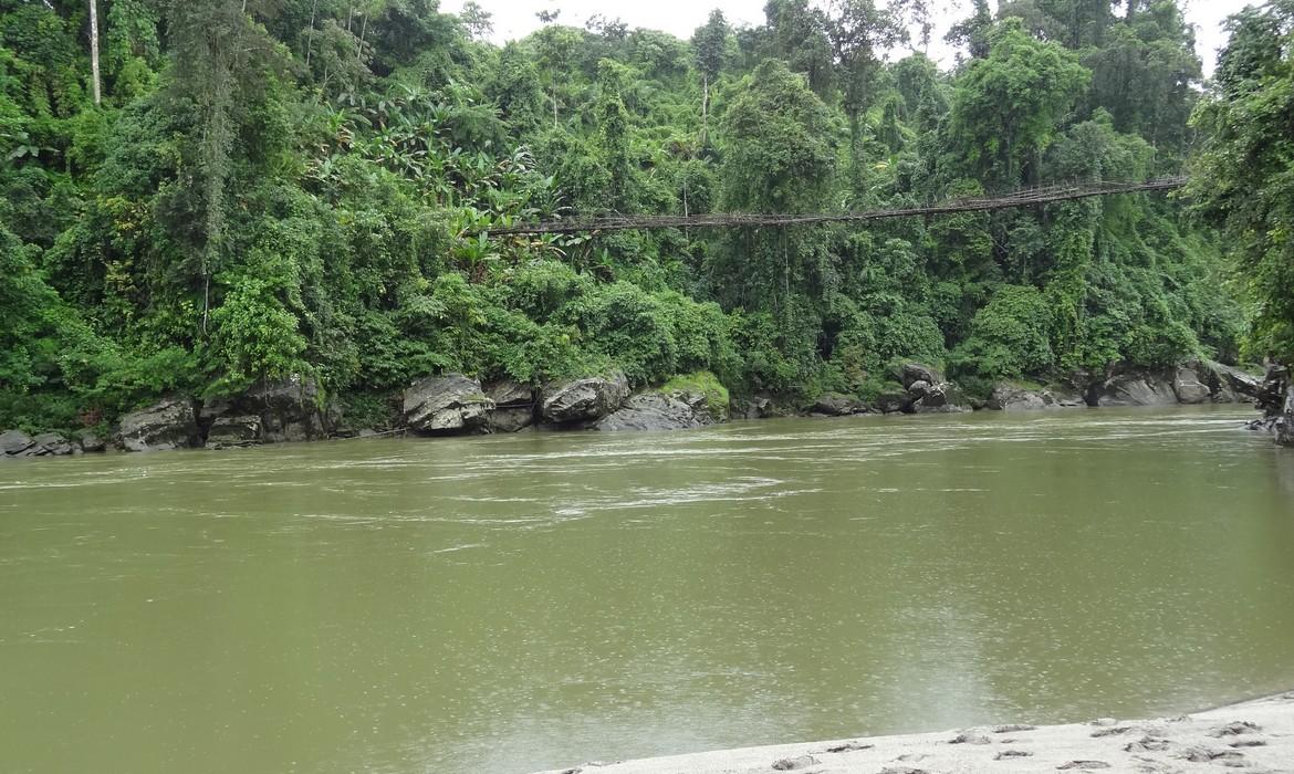 Hanging bridge, Putao