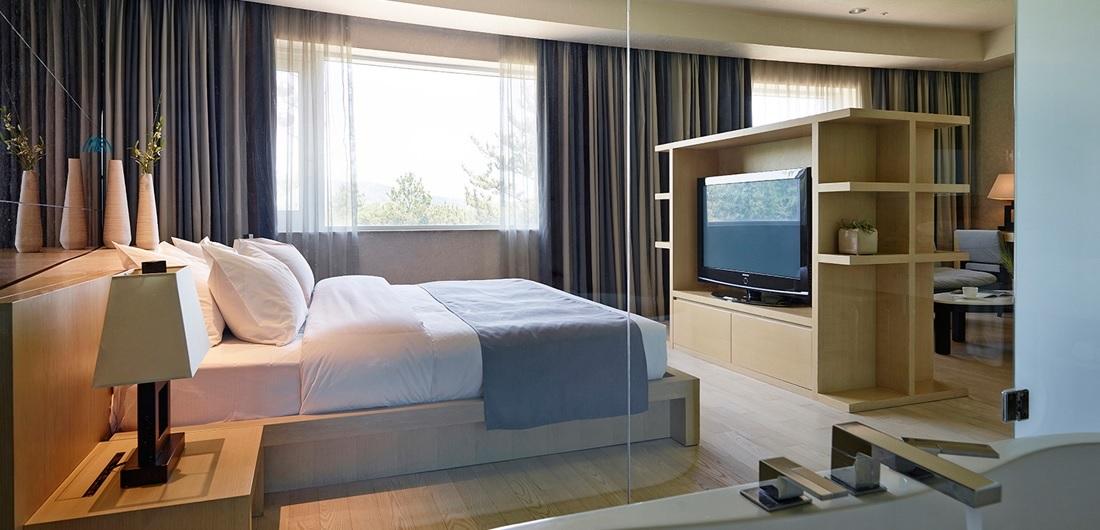 Deluxe Room, The Suites Hotel, Gyeongju