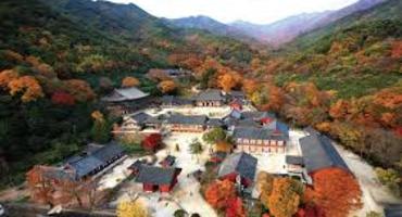 Hwaeomsa Temple Stay, Jirisan National Park