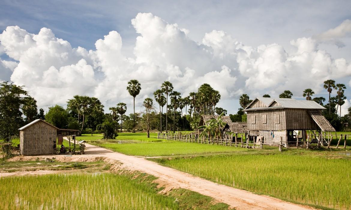 Countryside, near Battambang