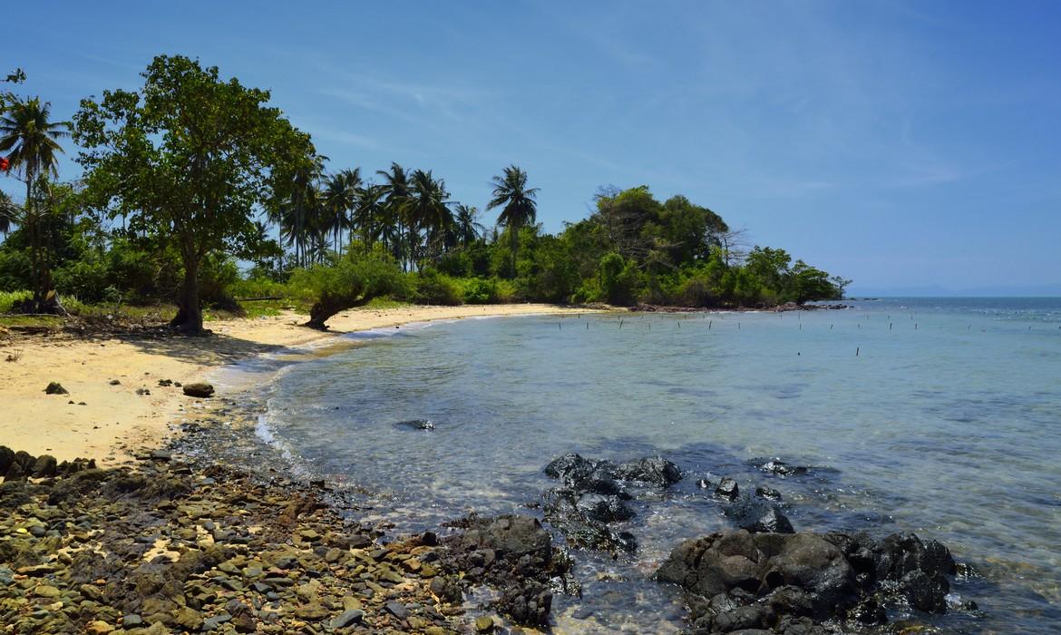 Rabbit Island