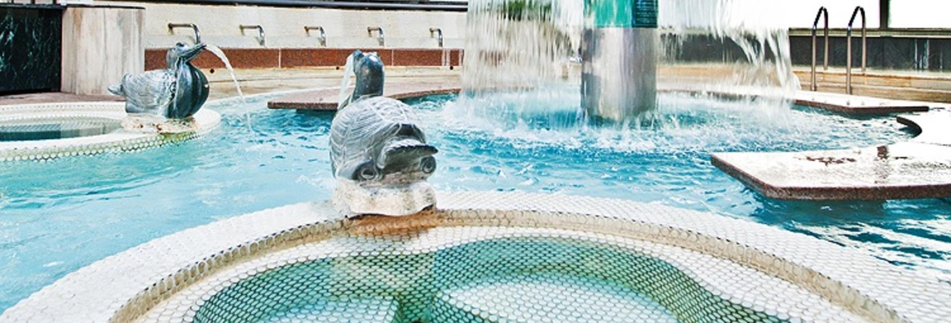 Korean-style public spa in Busan