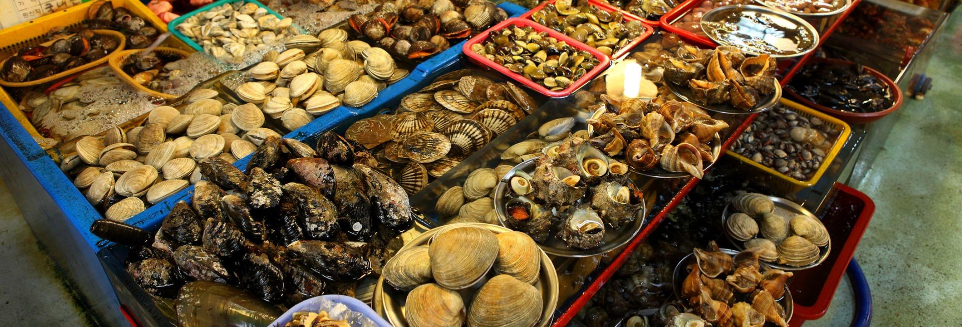 Jagalchi Market, Busan