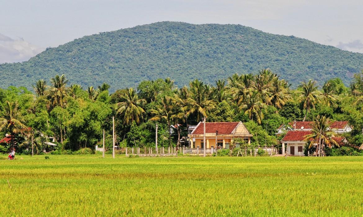 Brick houses with rice field, Quy Nhon