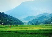The Wonders of Vietnam