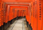 Highlights of South Korea & Japan