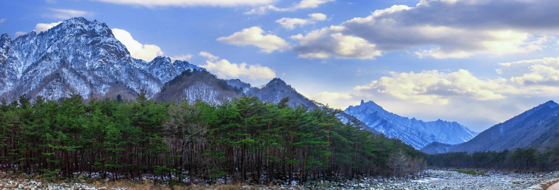 Winter scene, Seoraksan National Park, South Korea