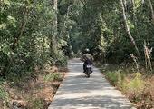 Phnom Kulen Adventure