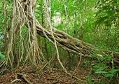 Exotic Vietnam