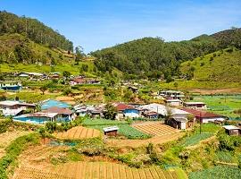 Nuwara Eliya, Sri Lanka