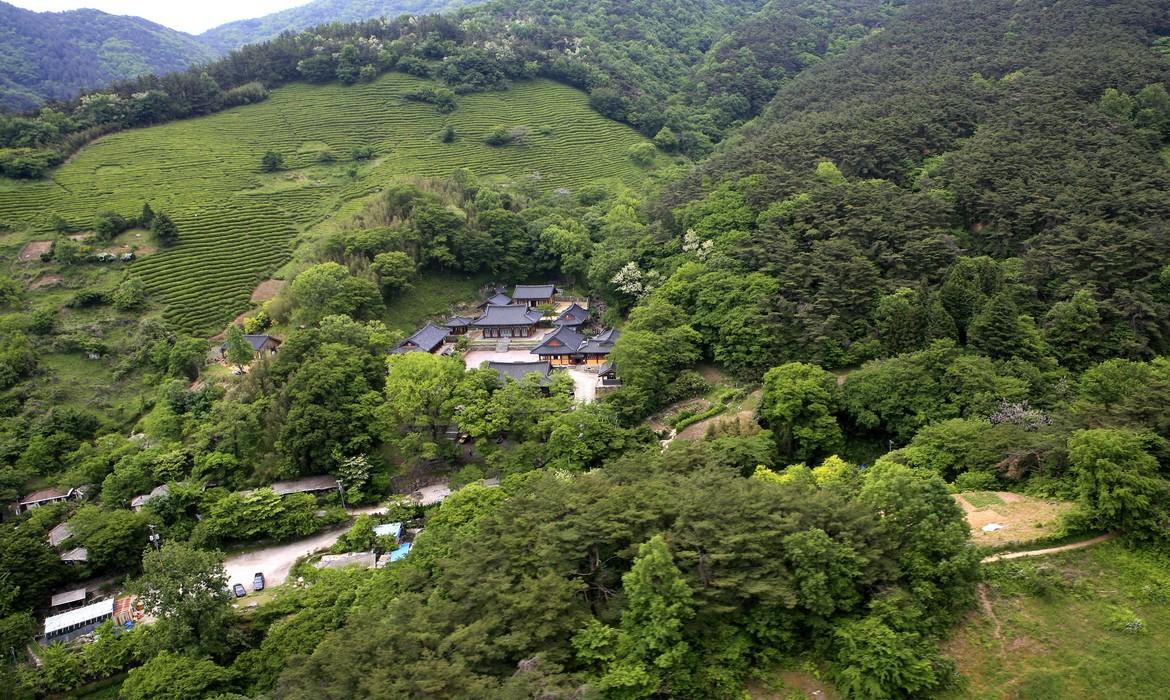 Boseong Green Tea Farm on Mt.Mudeungsan