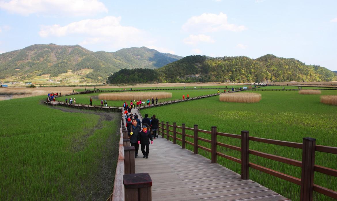 Suncheonman Bay Ecological Park, Suncheong and Hadong