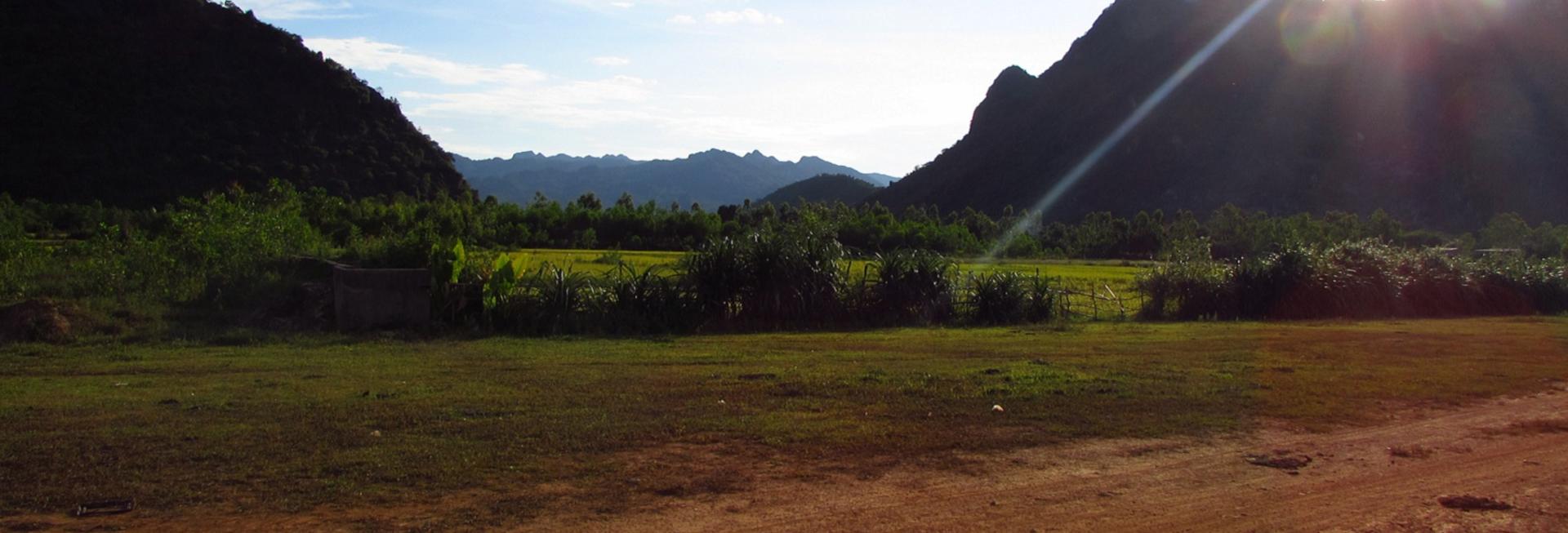 Jungle Boss Homestay