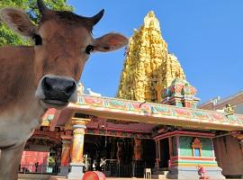 Hindu Temple, Jaffna, Sri Lanka