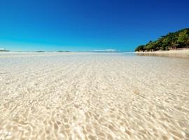 Beach, Panglao Island, the Philippines