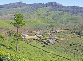 Emerald green, Kerala