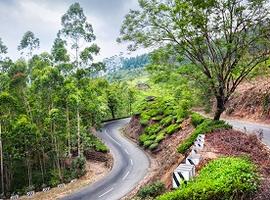 Winding road, Wayanad District