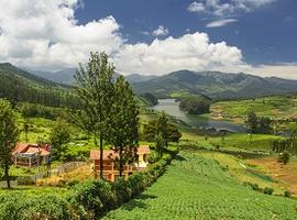 Landscape, Coonoor