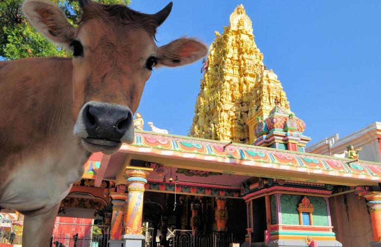 Nallur Kandaswamy Kovil, Jaffna