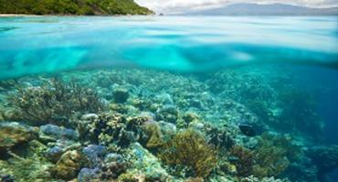 Apo Island, Visayas, the Philippines