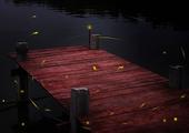 Dinner with Fireflies