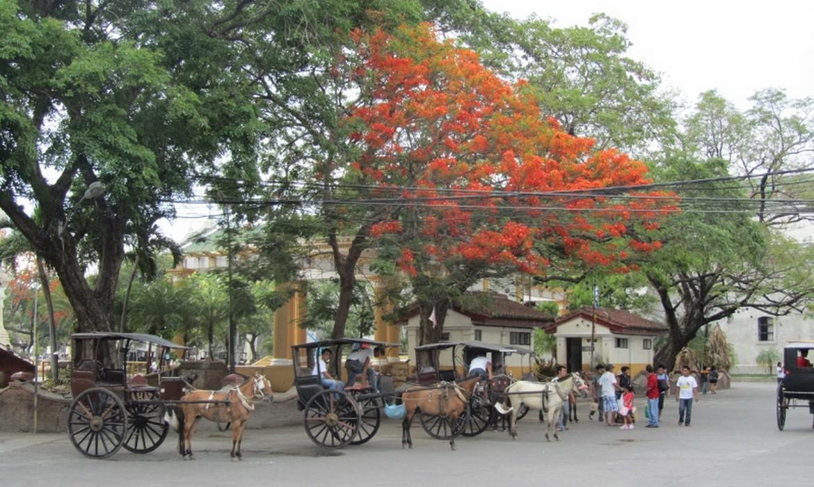 Horse & cart, Luzon