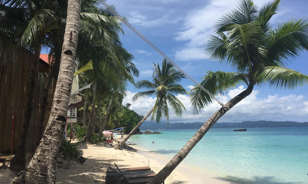 Palms, Boracay