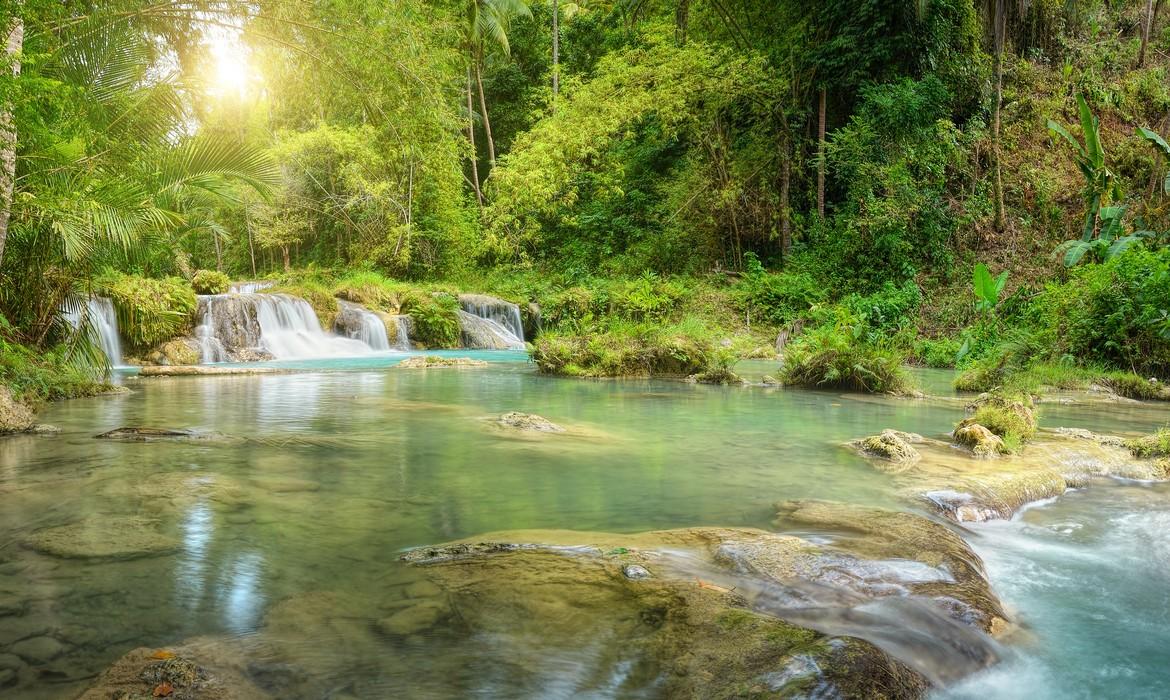 Forest pool, Siquijor Island
