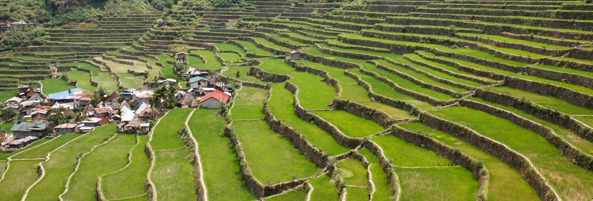 Rice terraces, Banaue, the Philippines