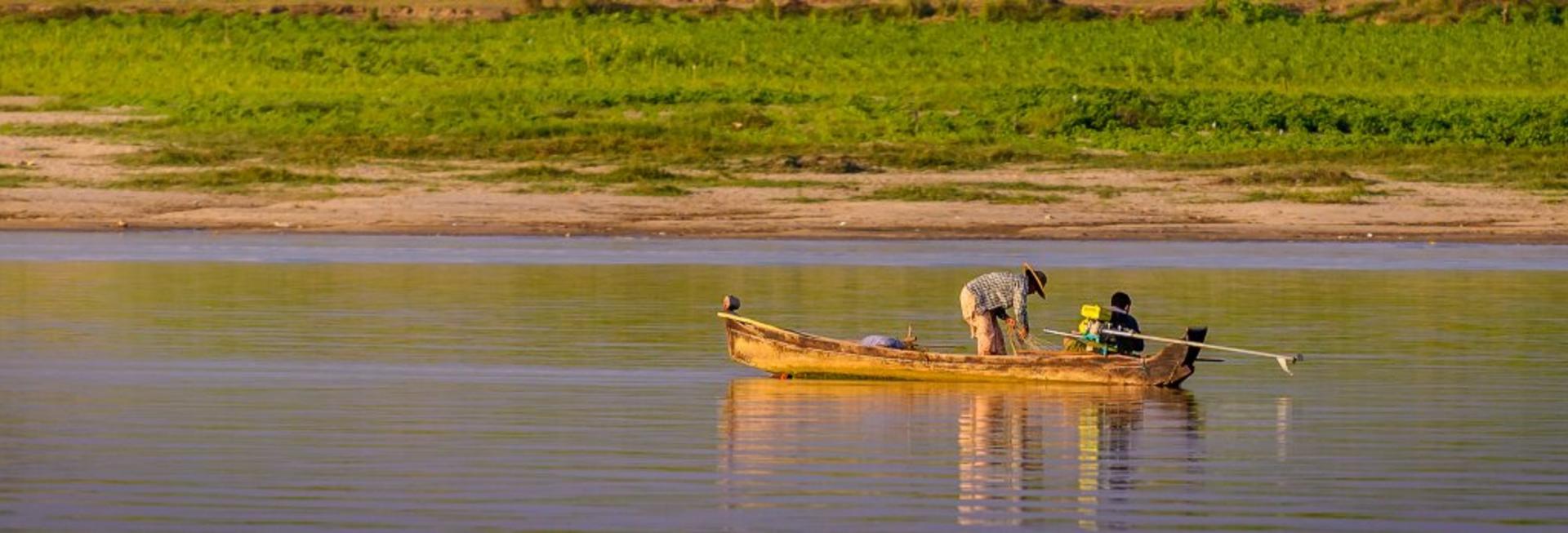 Dolphin watching, Mandalay