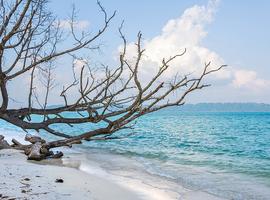 Port Blair