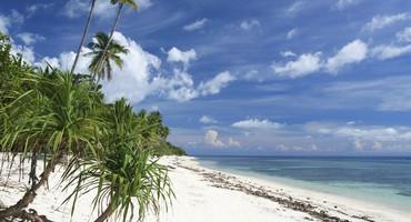 Beach, Siquijor, Visayas, the Philippines