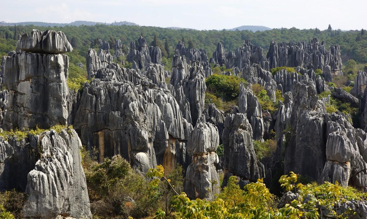 Stone forest, Kunming