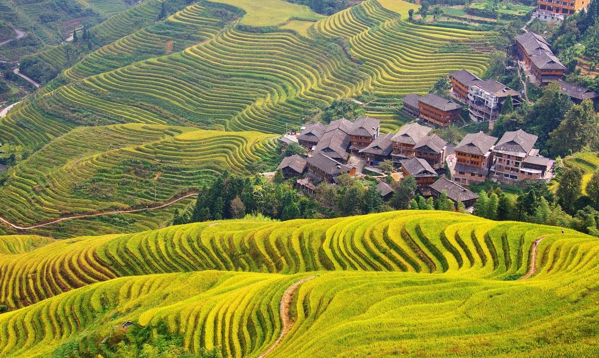 Longsheng