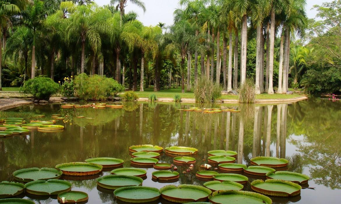 Jinghong Botanical Gardens, Xishuangbanna