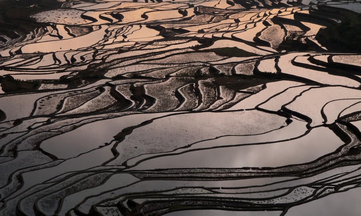 Yuanyang Rice Terraces