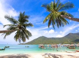 Beach, Koh Phangan