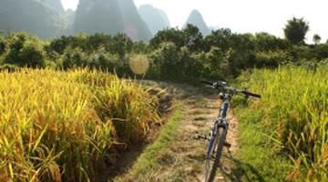 Bike, Yangshuo