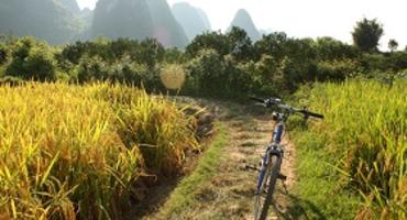 Bike, Yangshuo