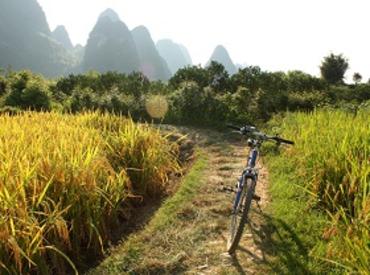 Bike, Yangshuo