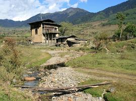 farm house, Gangtey