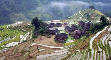 Jiabang Rice Terraces, Guizhou
