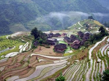 Jiabang Rice Terraces, Guizhou