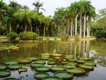 Botanical Gardens, Jinghong