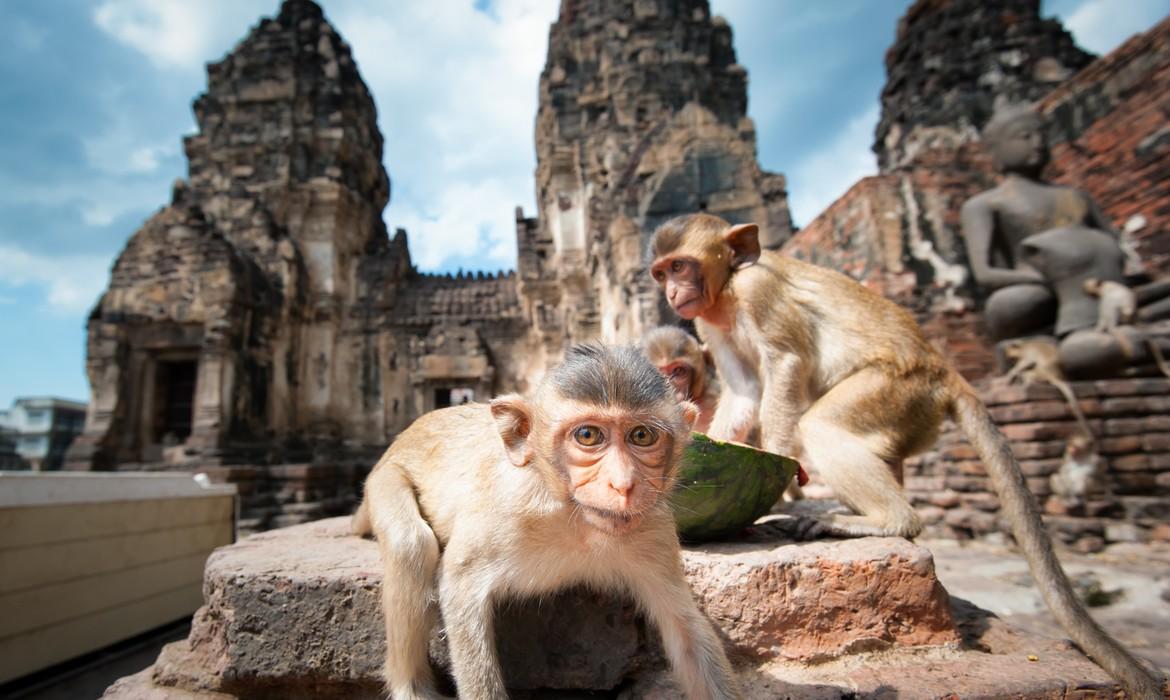 Lopburi